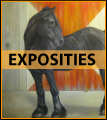 Exposities bij Stokertje