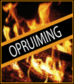Opruiming