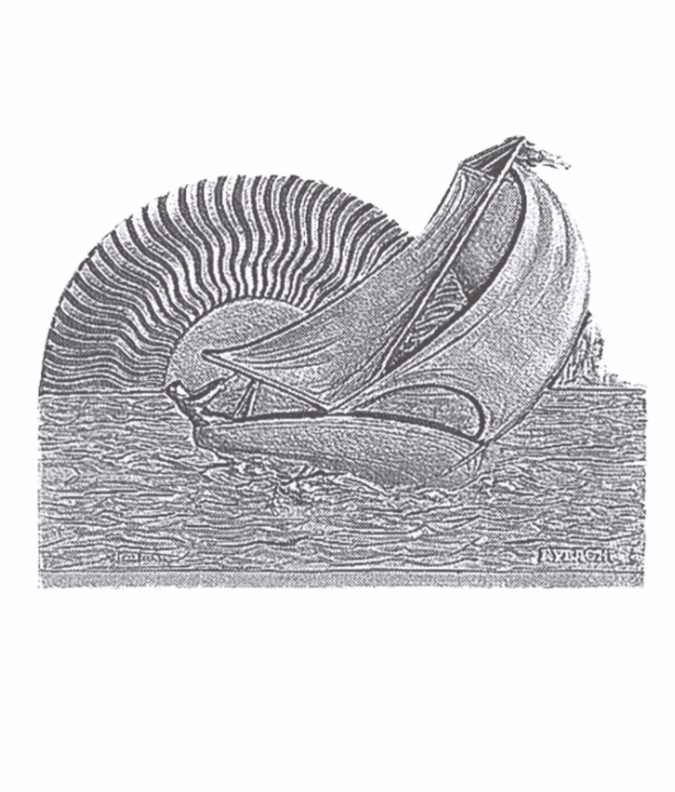 Haardplaat Le Bateau 122/301