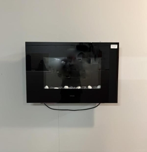 Dimplex Toluca de Luxe