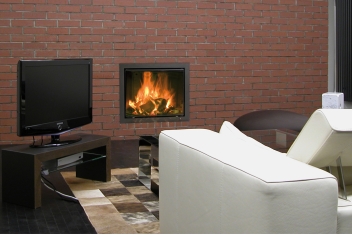 Spartherm Inzet 61x50