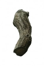 Topper aanvulsets stam groot nr. 4