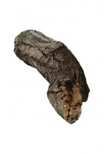 Topper aanvulsets stam groot nr. 8