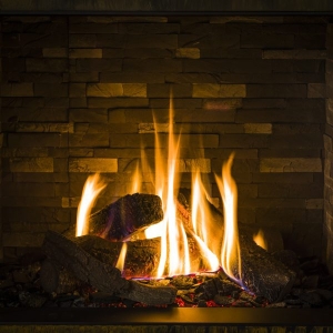 Trimline Fires 83 Front