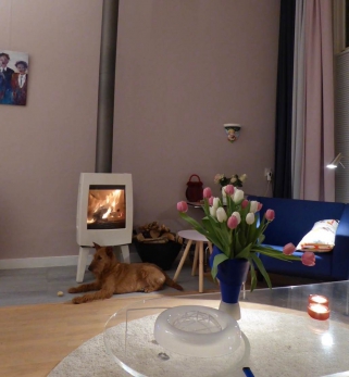 Dovre Sense 100 houtkachel