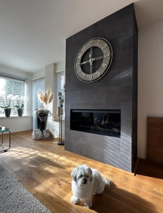 Kalfire E One 100F elektrische inbouwhaard